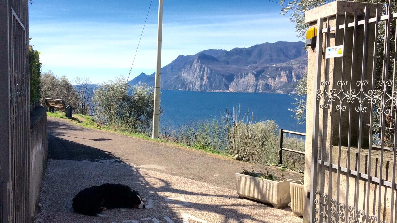 Villa Gaia Malcesine Zewnętrze zdjęcie